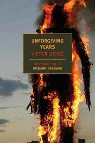 Cover of Unforgiving Years