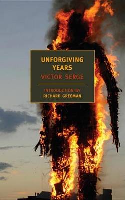 Cover of Unforgiving Years