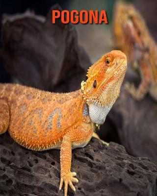 Book cover for Pogona