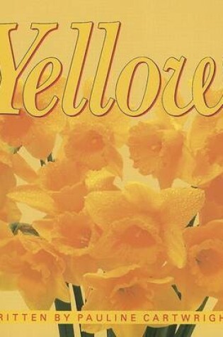 Cover of Yellow (G/R Ltr USA)