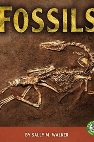 Cover of Fossils