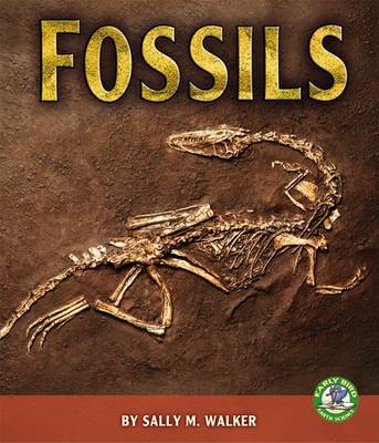 Cover of Fossils