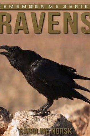 Cover of Ravens