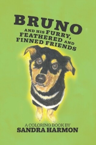 Cover of Bruno and His Furry, Feathered, and Finned Friends