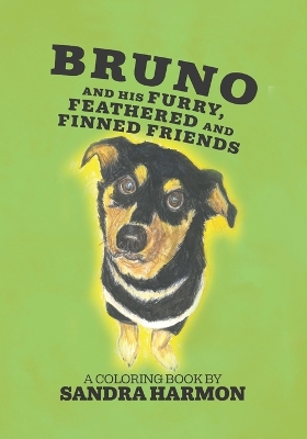 Book cover for Bruno and His Furry, Feathered, and Finned Friends