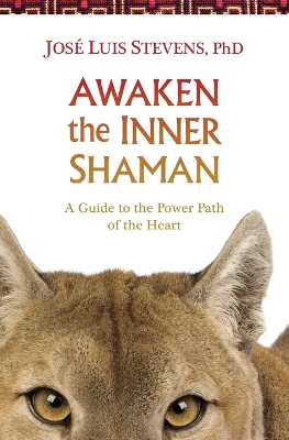 Book cover for Awaken the Inner Shaman