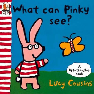 Book cover for What Can Pinky See?