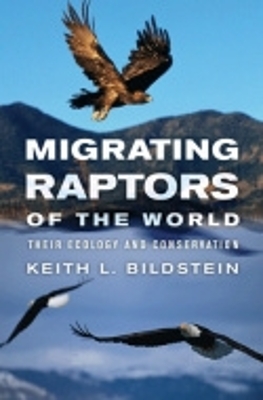 Book cover for Migrating Raptors of the World