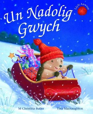 Book cover for Cyfres Draenog Bach: Un Nadolig Gwych