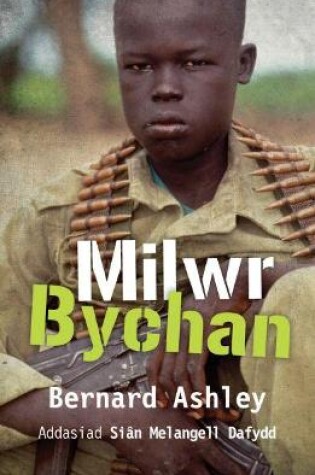 Cover of Milwr Bychan