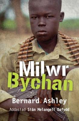 Book cover for Milwr Bychan