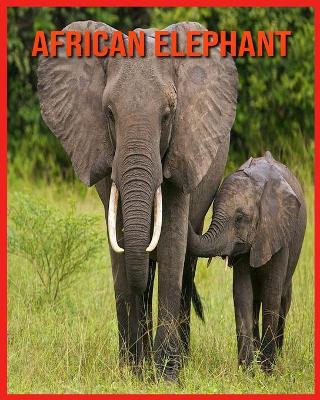 Book cover for African Elephant