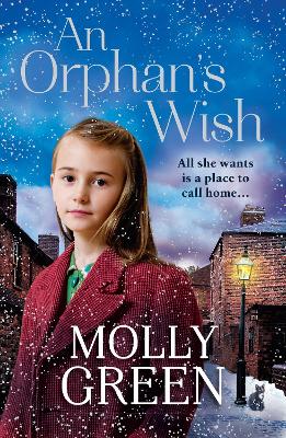 Book cover for An Orphan’s Wish