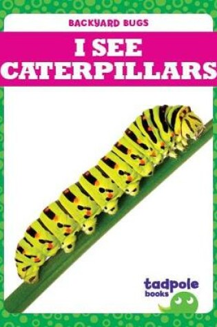 Cover of I See Caterpillars