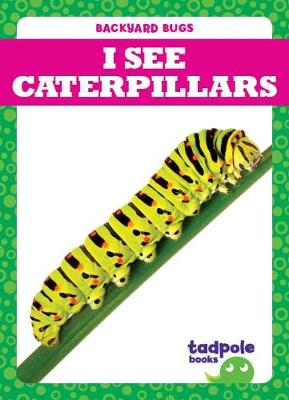 Cover of I See Caterpillars