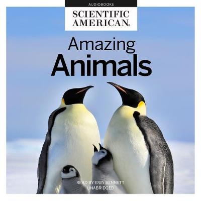 Book cover for Amazing Animals