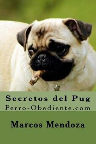 Cover of Secretos del Pug