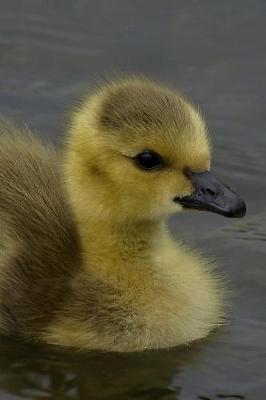 Book cover for Wild Baby Duck Portrait Journal