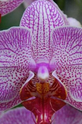 Cover of Phalaenopsis Cultivar Orchid, for the Love of Flowers