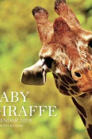 Cover of Baby Giraffe Calendar 2019