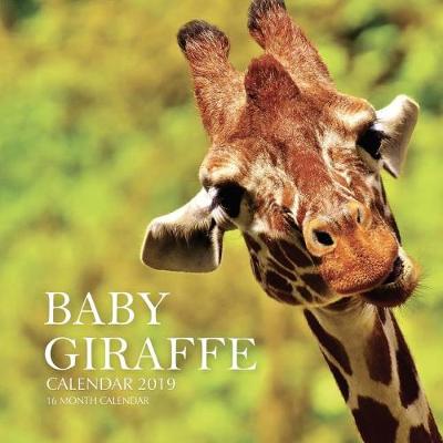 Book cover for Baby Giraffe Calendar 2019