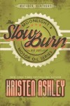 Book cover for The Slow Burn