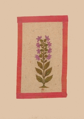 Cover of Carnet Blanc, Fleur 2, Miniature Indienne 18e Si�cle