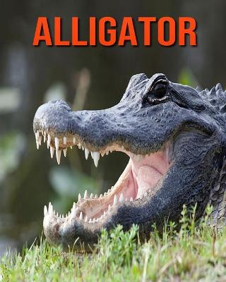 Book cover for Alligator