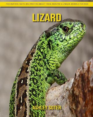 Book cover for Lizard