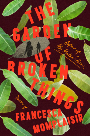 Cover of The Garden of Broken Things