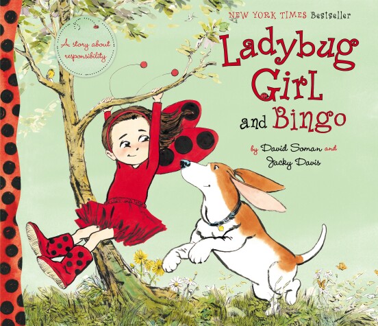 Book cover for Ladybug Girl and Bingo