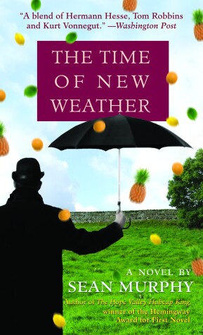 Book cover for The Time of New Weather