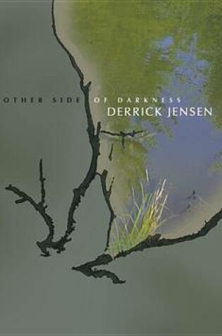 Cover of The Other Side of Darkness