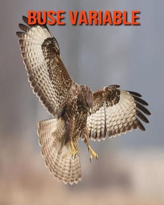 Book cover for Buse Variable