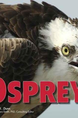 Cover of Ospreys