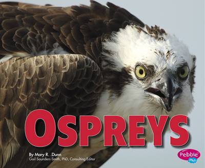 Cover of Ospreys