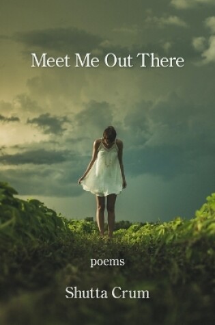 Cover of Meet Me Out There