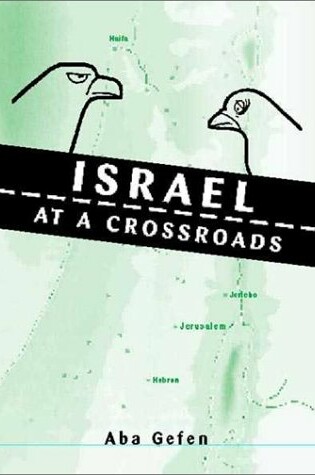 Cover of Israel at a Crossroad