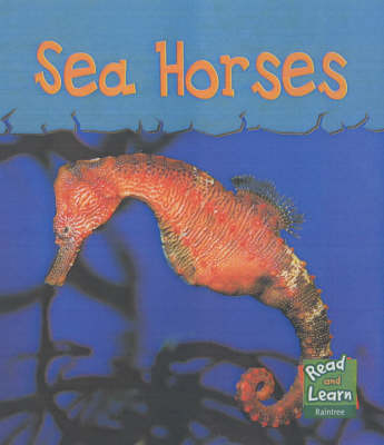 Cover of Read and Learn: Sea Life - Sea Horses
