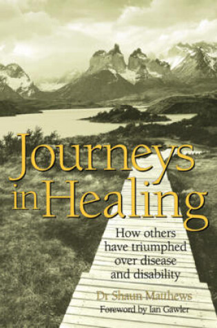 Cover of Journeys in Healing