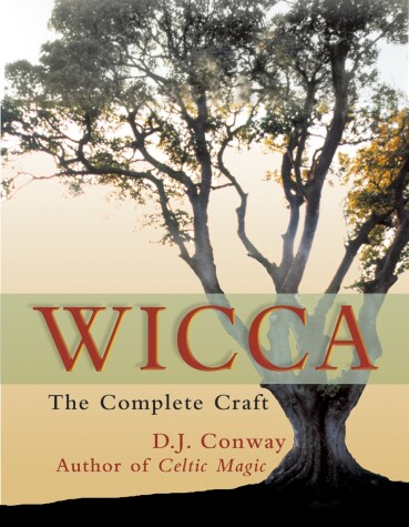 Book cover for Wicca