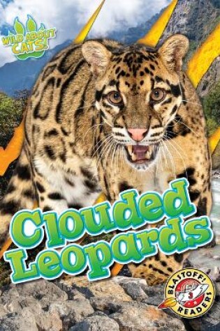 Cover of Clouded Leopards