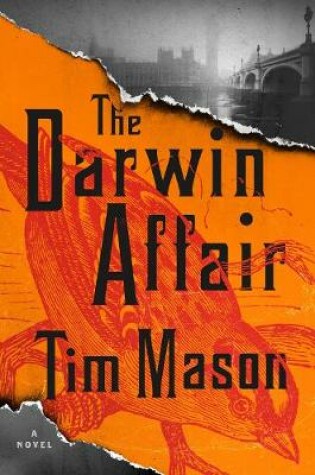 Cover of The Darwin Affair