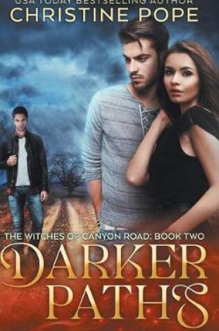 Cover of Darker Paths