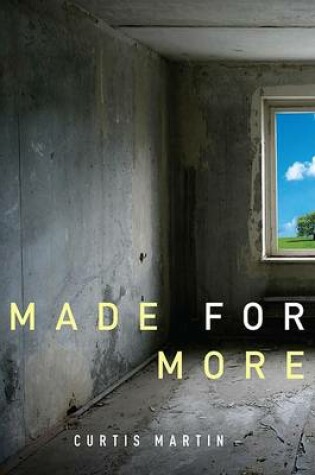 Cover of Made for More