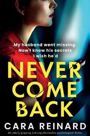 Cover of Never Come Back