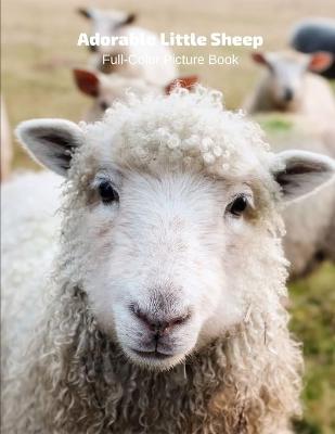 Book cover for Adorable Little Sheep Full-Color Picture Book