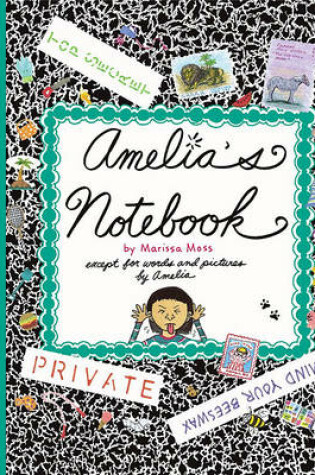 Amelia's Notebook