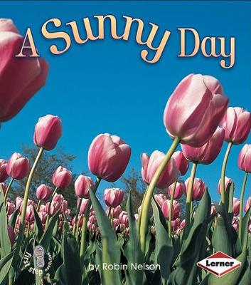 Cover of A Sunny Day