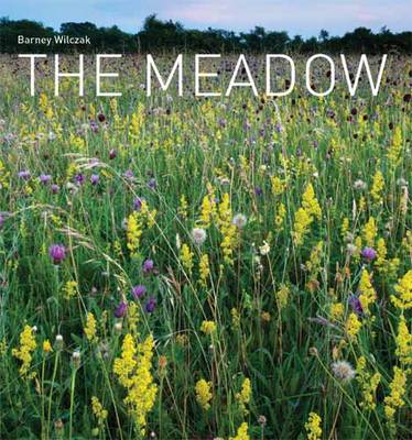 Cover of The The Meadow